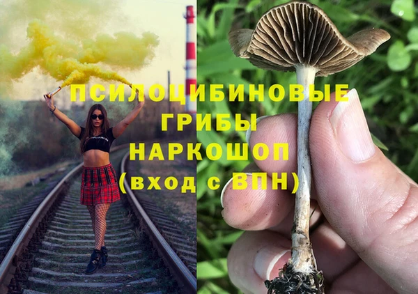 мяу мяу мука Алексин