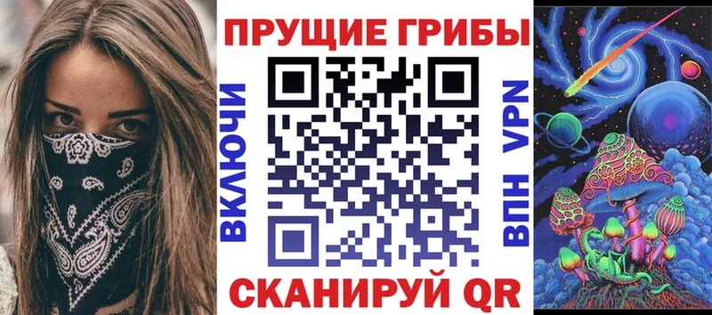 цена   Чёрмоз  Псилоцибиновые грибы GOLDEN TEACHER 